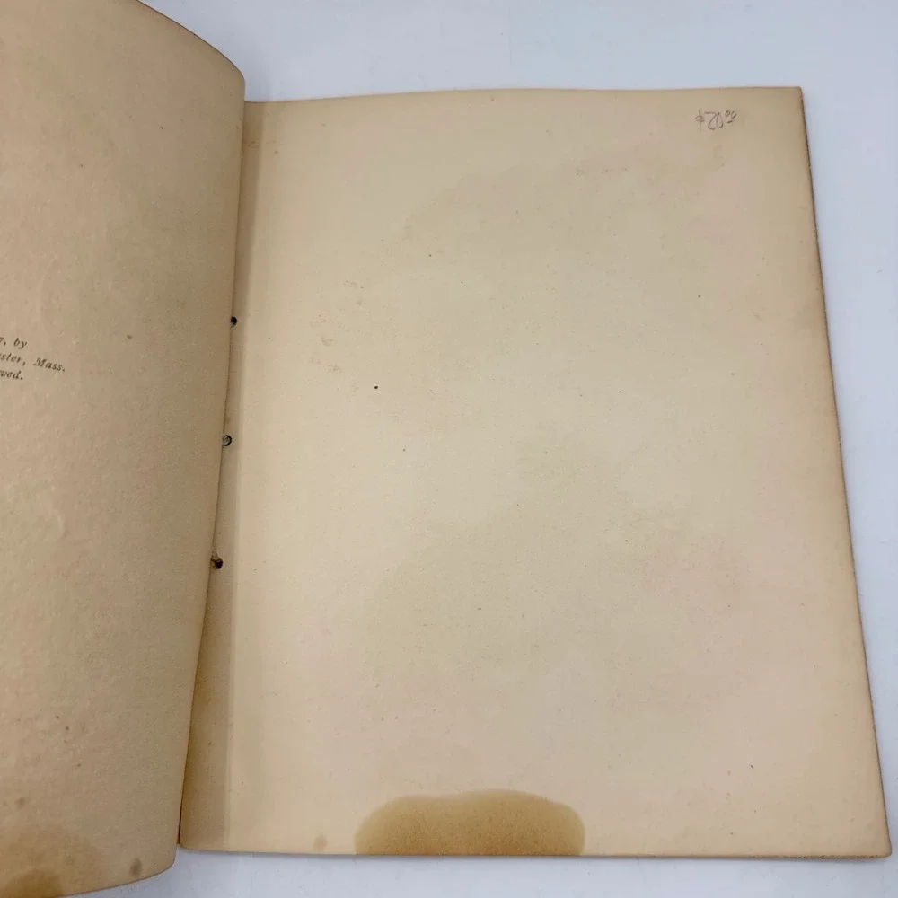 H. D. Perky The Vital Question Antique 1897 Tan Shredded Wheat Cookbook Advert